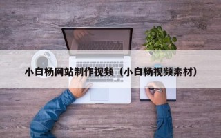 张家口小白杨网站制作视频（小白杨视频素材）